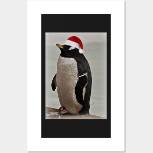 Merry Christmas Mr Penguin Posters and Art